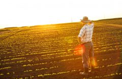 Lei que Renegocia dívida de produtor é sancionada  