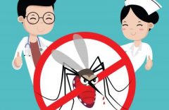 Casos de Dengue Podem Ser Denunciados - Veja Como  