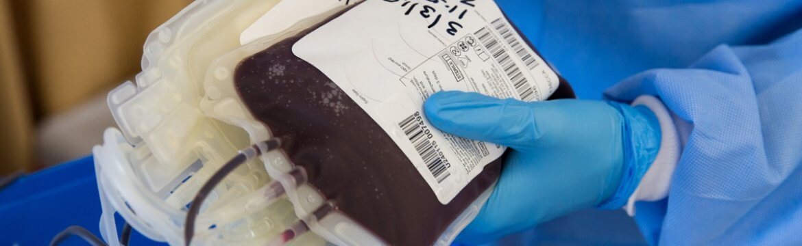 Doador de Sangue — Quem Pode Doar e Quais São os Seus Direitos?  