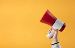 Chamamento Público: O Que É, Como Funciona e Quais as Diferenças em Relação à Licitação?  