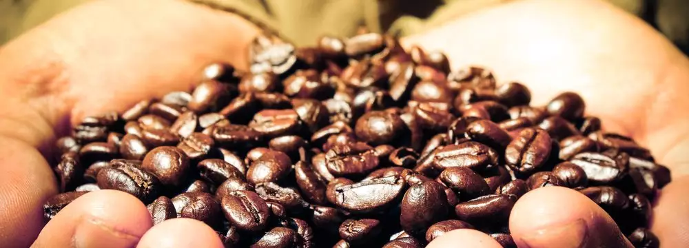 Agricultura Familiar - Saiba como essa Modalidade Influencia na Economia  