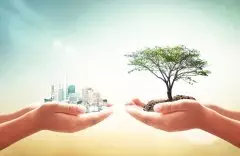 Contabilidade Ambiental: Entenda seus Benefícios  