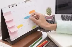 Conheça os Benefícios da Organização de Trabalho  