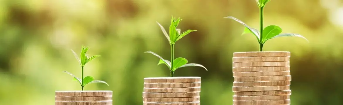 Você Sabe Qual o Objetivo da Contabilidade? Descubra!  