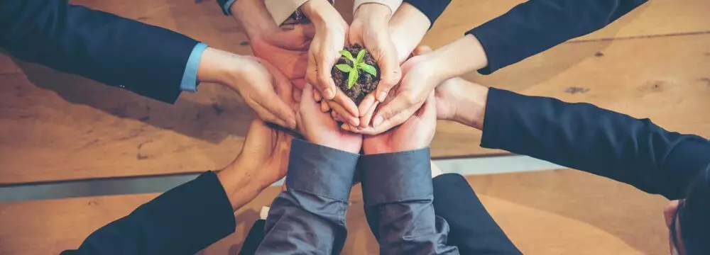 Sustentabilidade Empresarial — Entenda Como Ela Impacta o Seu Negócio  